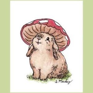 Hurry!! Clock is ticking ⏰